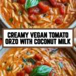 Creamy Vegan Tomato Orzo with Coconut Milk 21 Pinterest Hidden Image